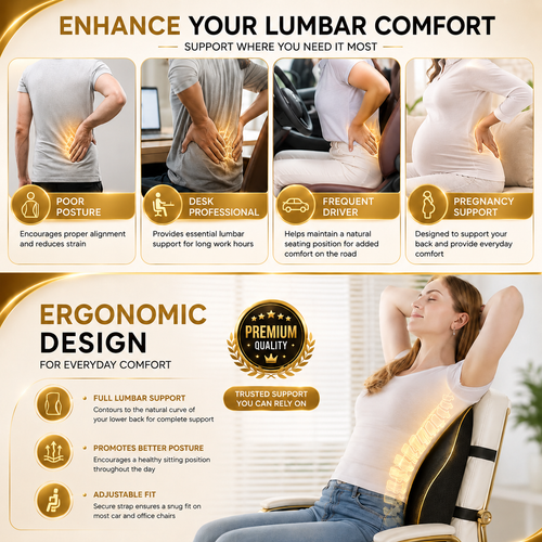 Lumbar Support Cushion for Car & Office
